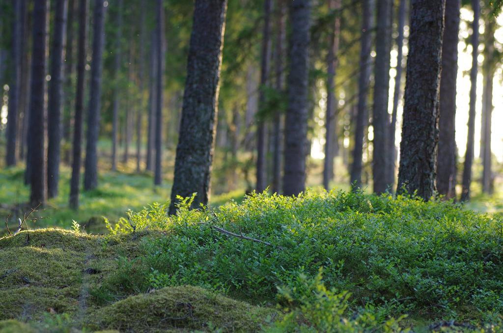 Asa Herrgard Exteriér fotografie